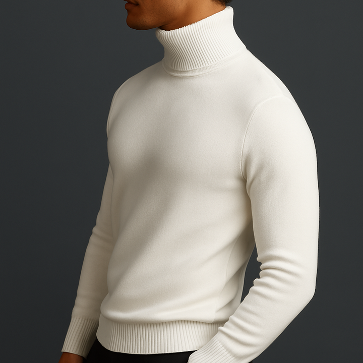 Hudson Wool Turtleneck