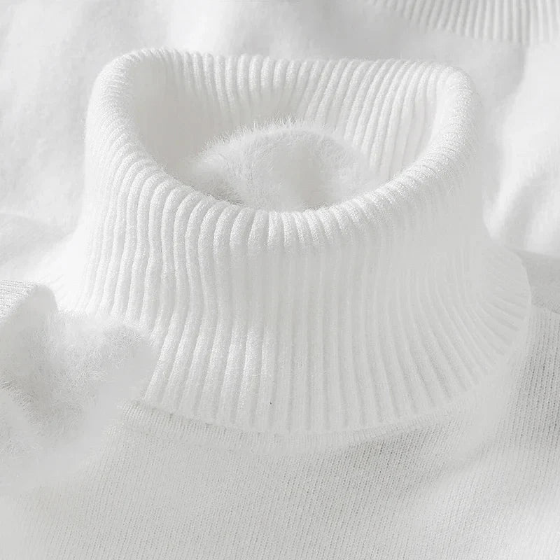 Hudson Wool Turtleneck