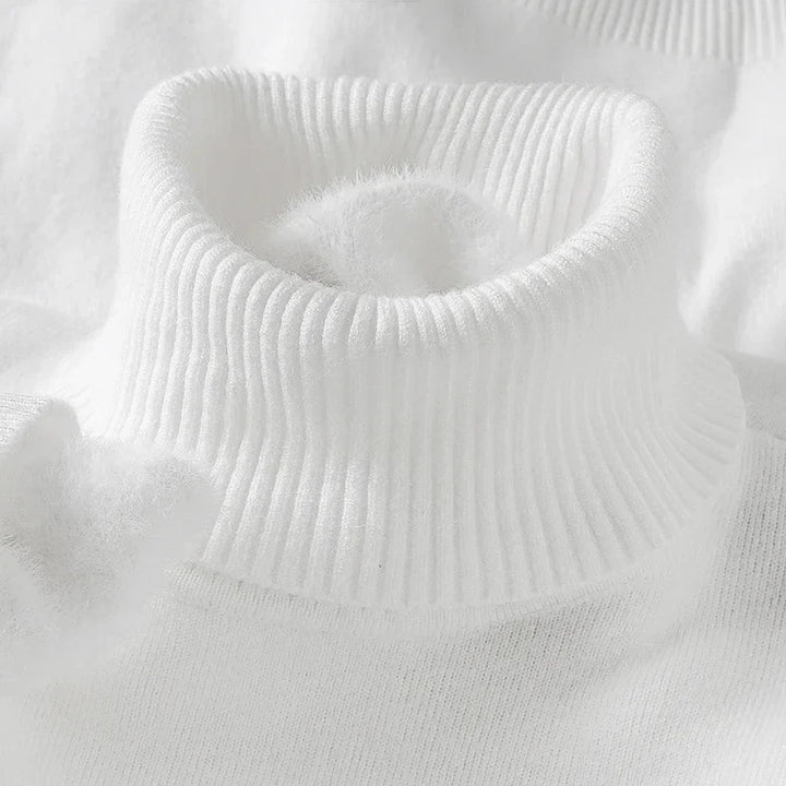 Hudson Wool Turtleneck